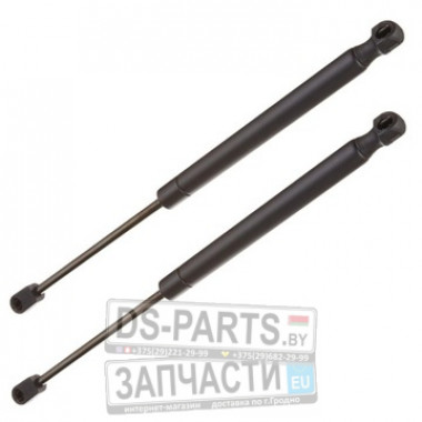 Амортизатор крышки багажника L=320MM, F=470N PEUGEOT 407 04-