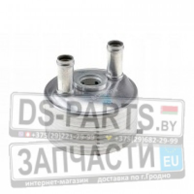 Радиатор масляный Audi/Seat/Skoda/VW 04-