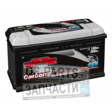 Sznajder Carbon EFB 100 R (800А 352*175*190)