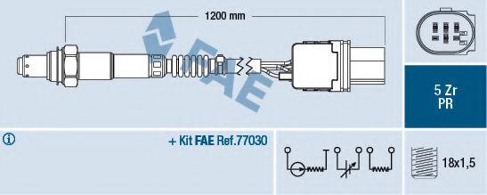 FAE 75050