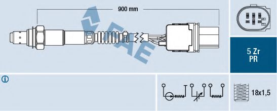 FAE 75055