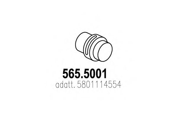 ASSO 565.5001