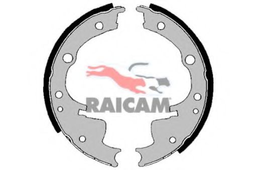 RAICAM 2024