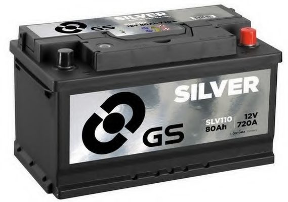 GS SLV110