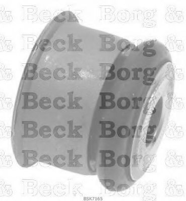 BORG & BECK BSK7165