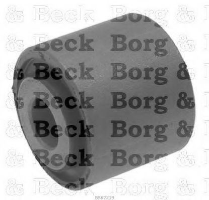 BORG & BECK BSK7219