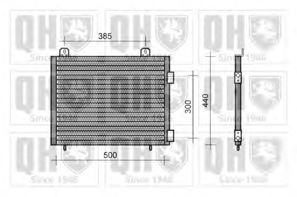 QUINTON HAZELL QCN208