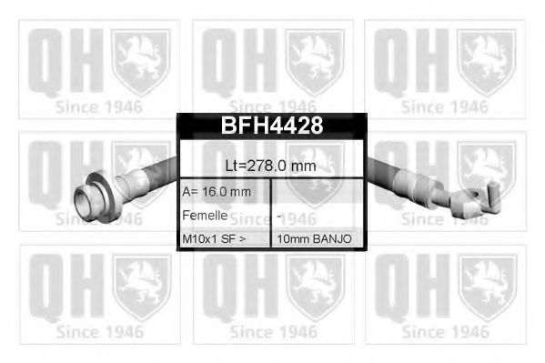 QUINTON HAZELL BFH4428