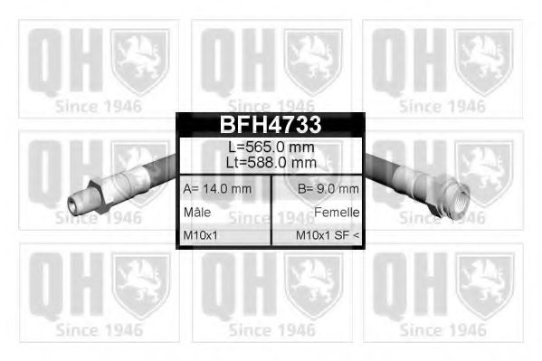 QUINTON HAZELL BFH4733