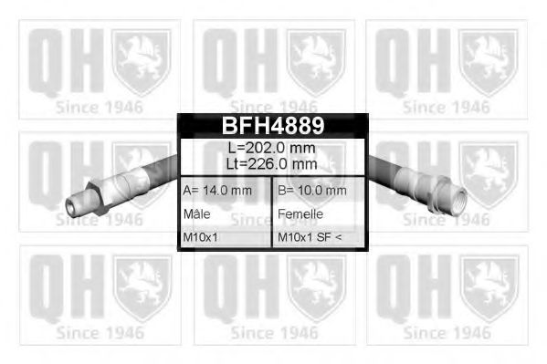 QUINTON HAZELL BFH4889
