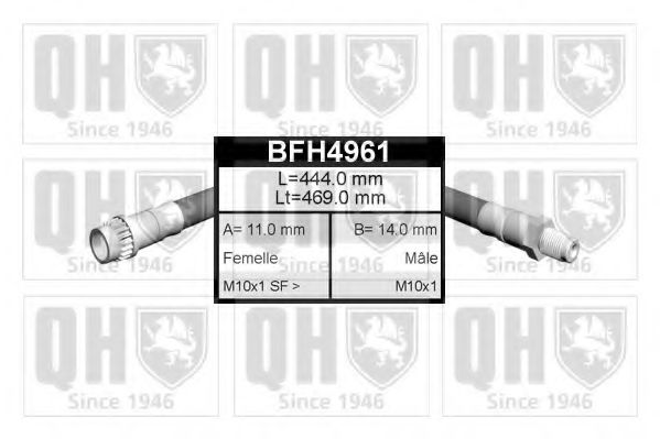 QUINTON HAZELL BFH4961