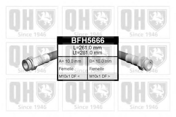 QUINTON HAZELL BFH5666
